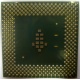 Процессор Intel Celeron 1000A SL5ZF (1000MHz /256kb /100MHz /1.475 V) s370 (Артем)