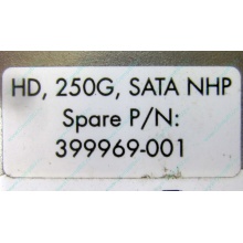 HP 250G 7.2k 432337-001/ 399699-001 / 397377-004 SATA HDD (Артем)