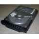 Жесткий диск 18.4Gb Quantum Atlas 10K III U160 SCSI (Артем)