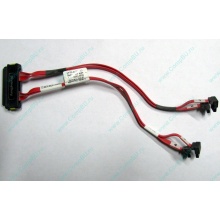 SATA-кабель для корзины HDD HP 451782-001 459190-001 для HP ML310 G5 (Артем)
