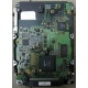 Жесткий диск 18.4Gb Quantum Atlas 10K III U160 SCSI (Артем)