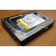 Жесткий диск 160Gb WD WD1602ABKS SATA (Артем)