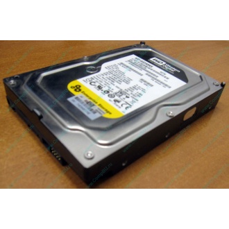 Жесткий диск 160Gb WD WD1602ABKS SATA (Артем)