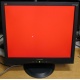 Монитор 19" ViewSonic VA903b (1280x1024) есть битые пиксели (Артем)