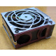 HP 224977 (224978-001) for Proliant ML370 G2/G3/G4 (Артем).