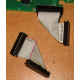 6017B0045701 Шлейф 24pin для Intel C74974-401 T0043401-B01 корпуса SR2400 (Артем)