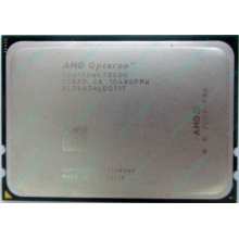 AMD Opteron 6128 OS6128WKT8EGO (Артем)